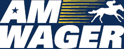 AmWager logo