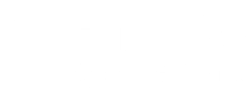 Fanatics logo
